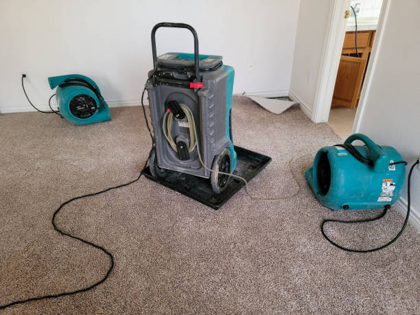 Best Ceiling water damage repair  in Laurel, DE