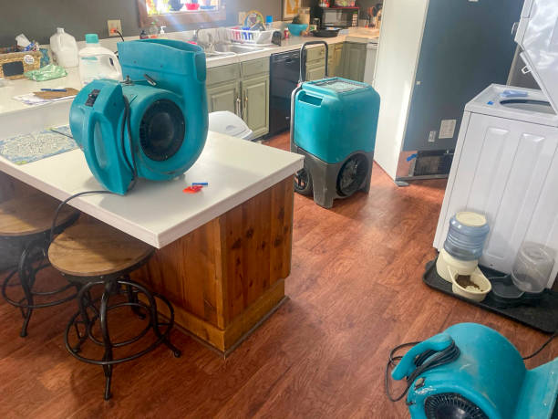 Best Sewage cleanup and water damage restoration  in Laurel, DE