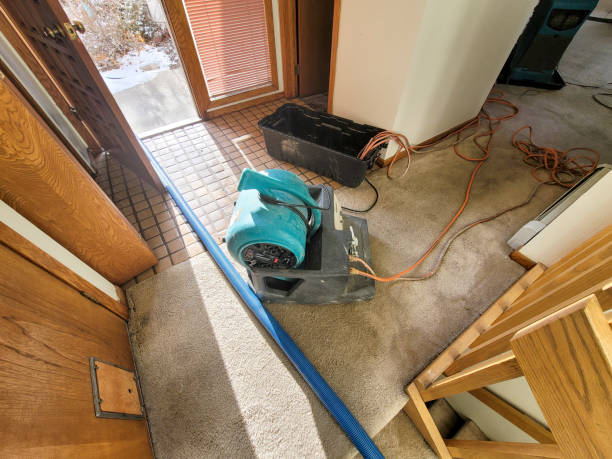 Best Water damage repair service  in Laurel, DE