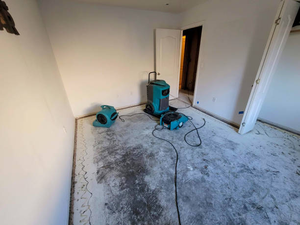 Best 24/7 water damage repair  in Laurel, DE