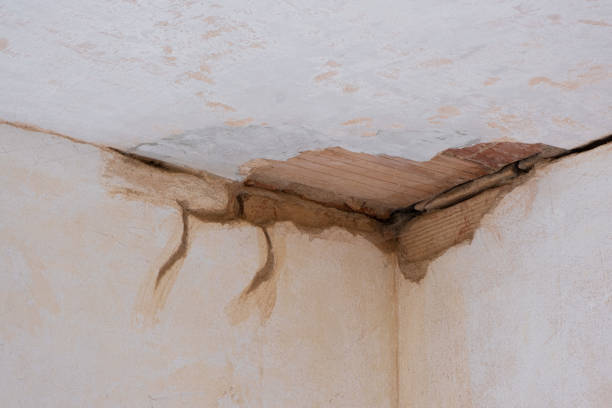 Best Water damage restoration insurance claims  in Laurel, DE