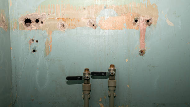 Best Fire Damage Restoration  in Laurel, DE